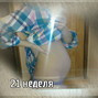 Фотографии животиков на 21-й неделе беременности