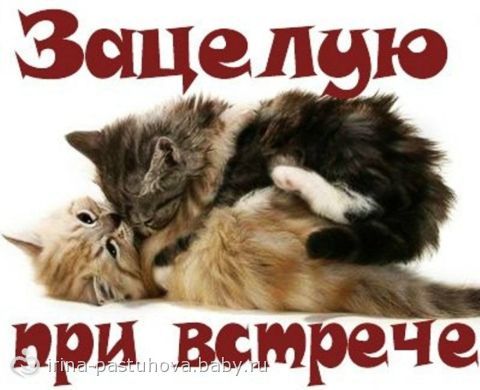 Открытки до любимого мужчины Открытки до любимого мужчины