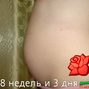 Фотографии животиков на 8-й неделе беременности