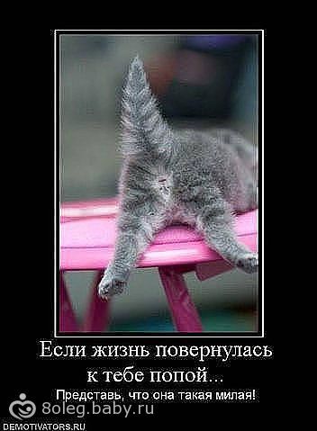 http://static2.babysfera.ru/c/c/f/7/23821117.58396887.jpeg
