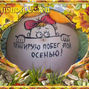 Фотографии животиков на 36-й неделе беременности