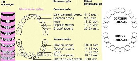 Как нарисовать розу поэтапно Как завязывать слинг, чтобы было комфортно малышу и маме?