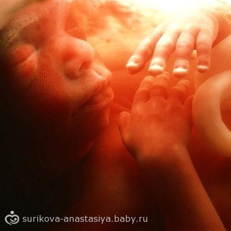 17 Акушерская Неделя Беременности Фото