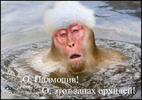 картинки чисто поржать