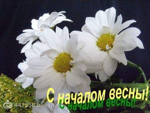 Картинки с поздравлениями первого дня весны Картинки с поздравлениями первого дня весны