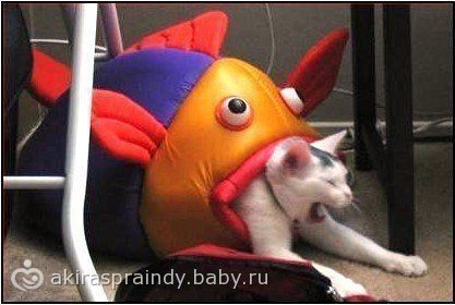 Месть.