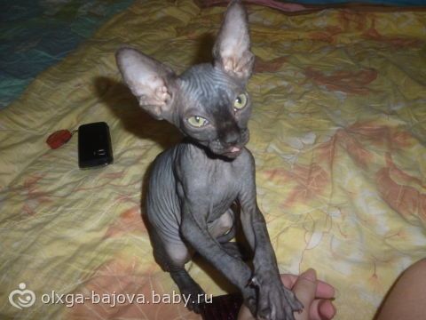 УРААА! она таки сделала это!
