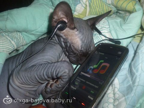 прилипало