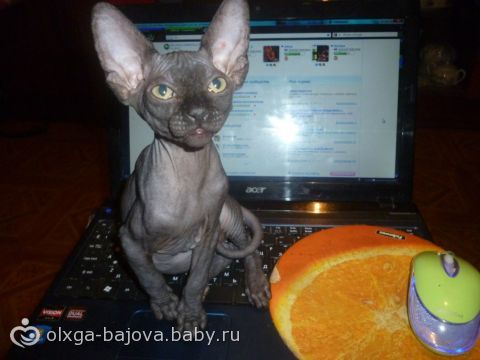 прилипало
