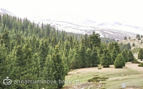 По просьбам подруг… фотки моей родины