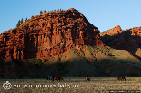 По просьбам подруг… фотки моей родины